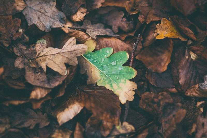 Enyhébb, de gyakran felhős idő lesz a hosszú hétvégén